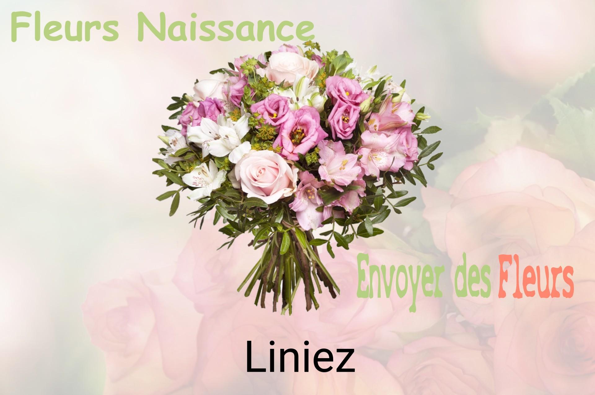 Bouquet de fleurs de naissance livré à Liniez